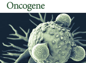 「6686体育客户文章」Oncogene| 质谱技术筛查鼻咽癌中lncRNA的结合蛋白