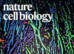 「6686体育客户文章」Nature Cell Biology| 质谱检测技术助力体细胞重编程研究